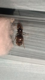 IMG_8325.jpeg