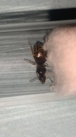 IMG_8326.jpeg