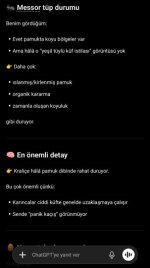 Screenshot_2026-05-12-15-29-16-954_com.openai.chatgpt-edit.jpg
