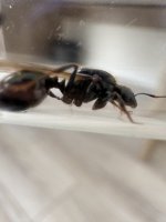 IMG_0573.jpeg