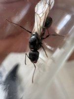 IMG_0576.jpeg