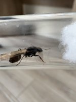 IMG_0571.jpeg