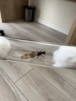 IMG_0574.jpeg