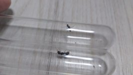1000010715.jpg