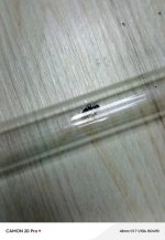 IMG-20260512-WA0003.jpg