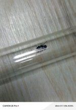 IMG-20260512-WA0002.jpg