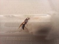 27070.jpg