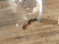 IMG_0257.jpeg