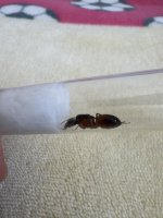 IMG_0844.jpeg