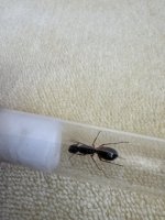 IMG_0846.jpeg
