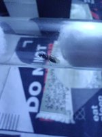 IMG_20260514_233854.jpg
