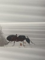 IMG_4822.jpeg