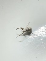 IMG_1069.jpeg