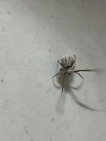 IMG_1066.jpeg
