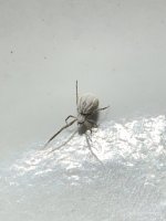 IMG_1067.jpeg