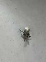 IMG_1063.jpeg