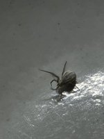 IMG_1068.jpeg
