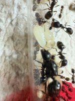 IMG_0119.jpeg