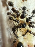 IMG_0121.jpeg