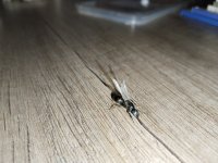 IMG_20260517_134812.jpg
