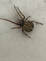 IMG_1073.jpeg