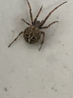 IMG_1072.jpeg