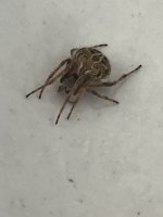 IMG_1071.jpeg