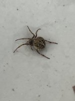 IMG_1070.jpeg