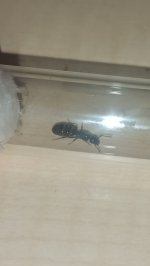 IMG_20260517_155748.jpg