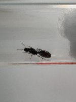 IMG_0644.jpeg
