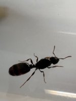 IMG_0649.jpeg
