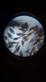 20260517_194429.jpg