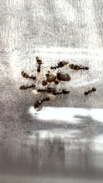 IMG_6233.jpeg