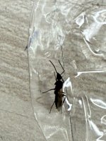 IMG_3259.jpeg