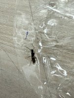 IMG_3260.jpeg