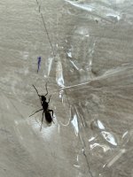 IMG_3261.jpeg
