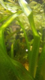 20260518_222311.jpg 20260518_222311.jpg