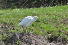 DSC_0729.jpg DSC_0729.jpg
