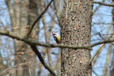 DSC_0919.jpg DSC_0919.jpg