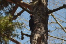 DSC_1473.jpg DSC_1473.jpg