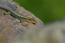DSC_4656.jpg DSC_4656.jpg