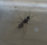 IMG_0286.jpeg