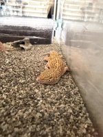 IMG_3015.jpeg