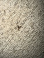 IMG_5422.jpeg