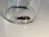 IMG_20260522_132836.jpg