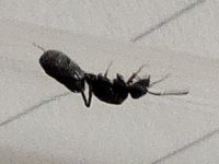 IMG_20260522_145432.jpg