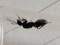 IMG_20260522_145507.jpg