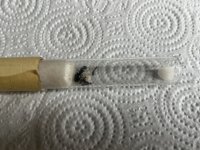 IMG_2576.jpeg