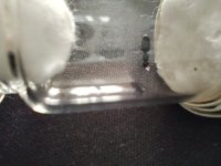 IMG_20260523_153804.jpg