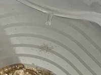 IMG_1822.jpeg
